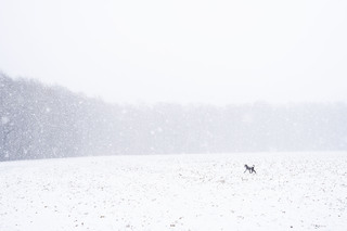 Winter 2024 immer wieder mit Schnee.
Wie schön!