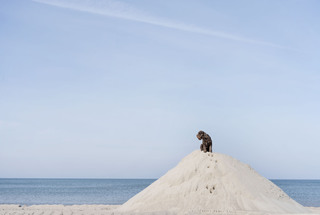 Sandburgenkönigin!