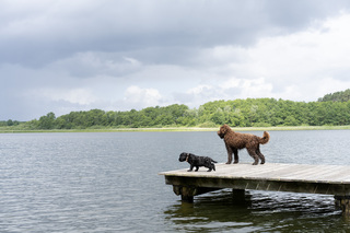 Respekt vor Höhe oder dem Wasser?